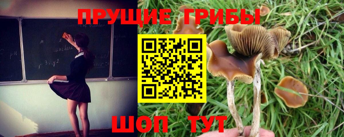 Галлюциногенные грибы мухоморы  Вход с VPN  Кизилюрт  Псилоцибиновые грибы Psilocybe 
